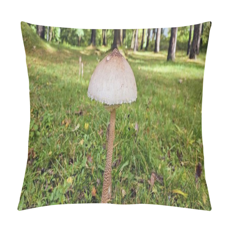 Personality  Close-Up Of Wild Mushroom In A Forest Setting During Autumn Pillow Covers