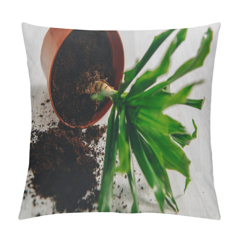 Personality  Photo Of Flower Pot With Green Plant Lying On Floor Pillow Covers