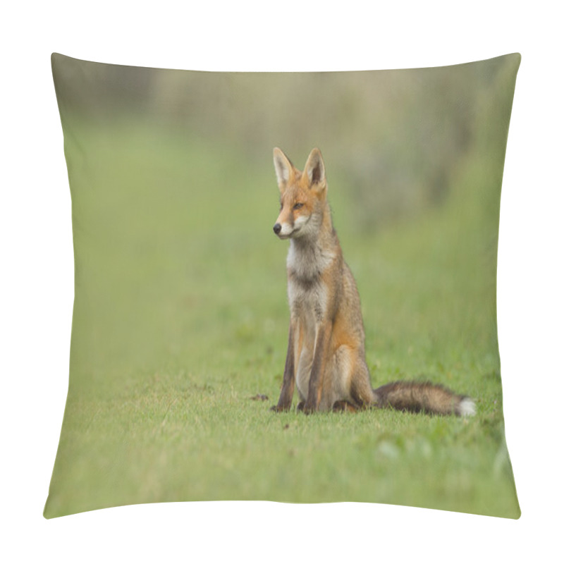 Personality  Red Fox In Nature Pillow Covers