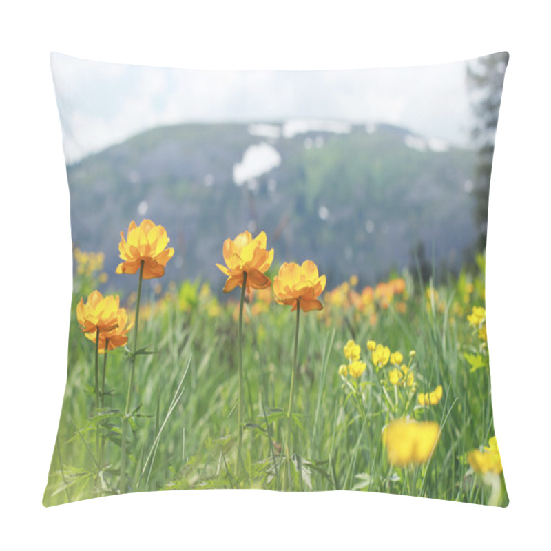 Personality  Blossoming Flowers Field Into The Mountains. Snow On The Hills And Blossoming Flowers. Beautiful Mountain Landscape. Pillow Covers