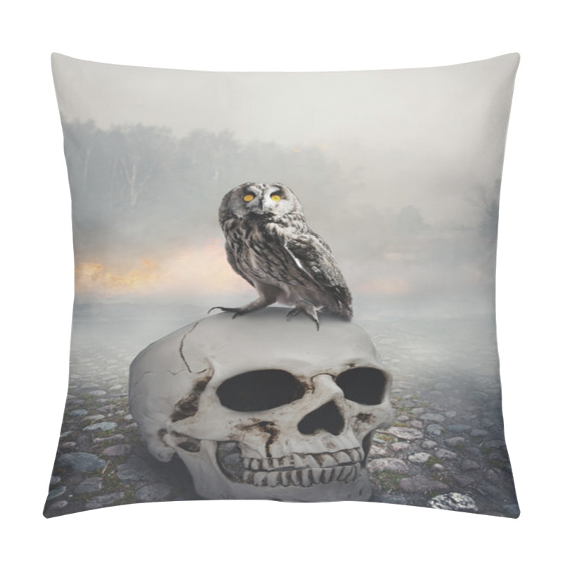 Personality  Owl On The Skull. Halloween Mystical Scene Pillow Covers