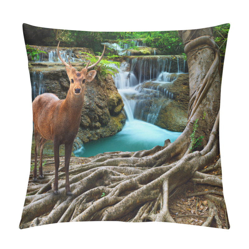 Personality  Sambar Deer Standing Beside Bayan Tree Root In Front Of Lime Sto Pillow Covers