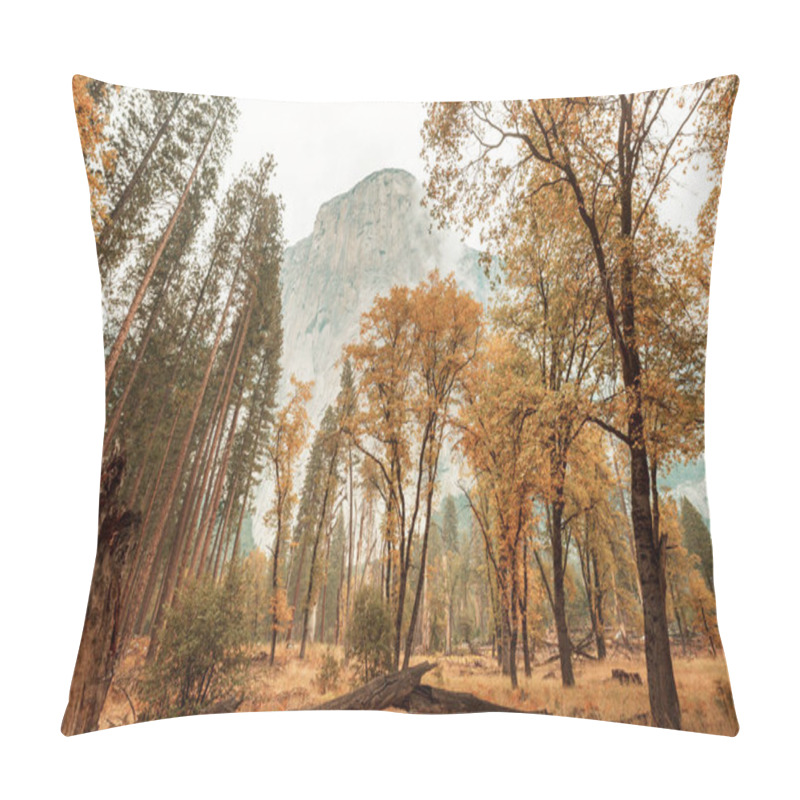 Personality  Beautiful Fall Season In Yosemite National Park, California, USA Pillow Covers