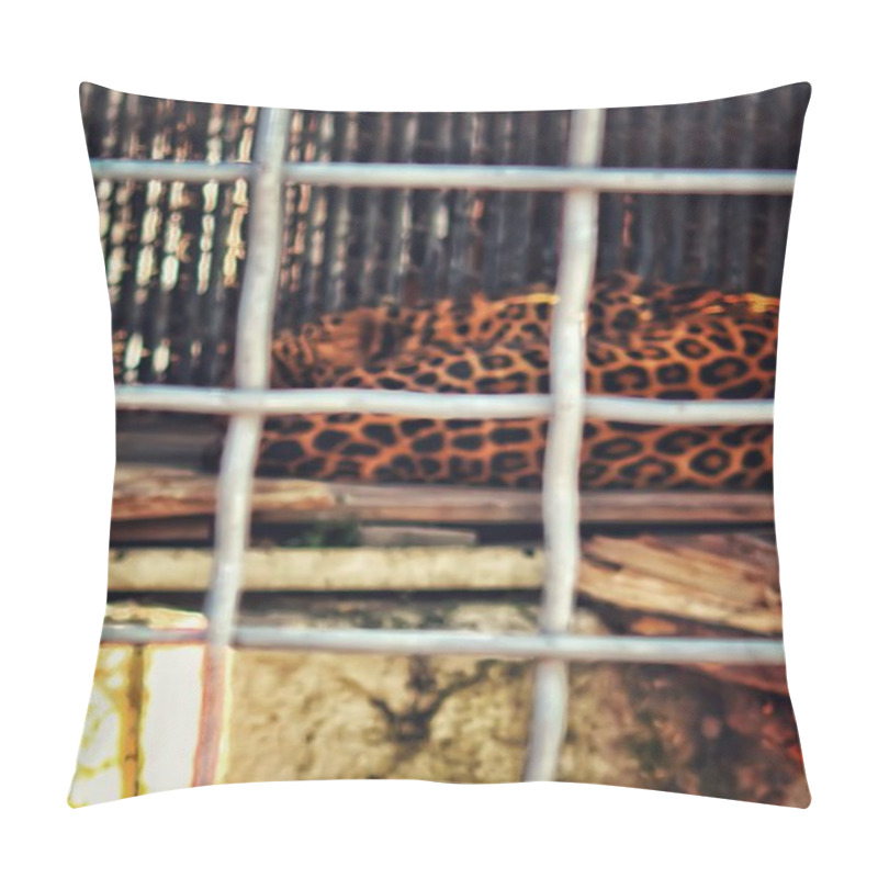 Personality  A Leopard With Spotted Fur Sleeps Curled Up On A Wooden Platform Inside A Cage. The Foreground Features Blurred Metal Mesh, Focusing On The Resting Animal. Pillow Covers