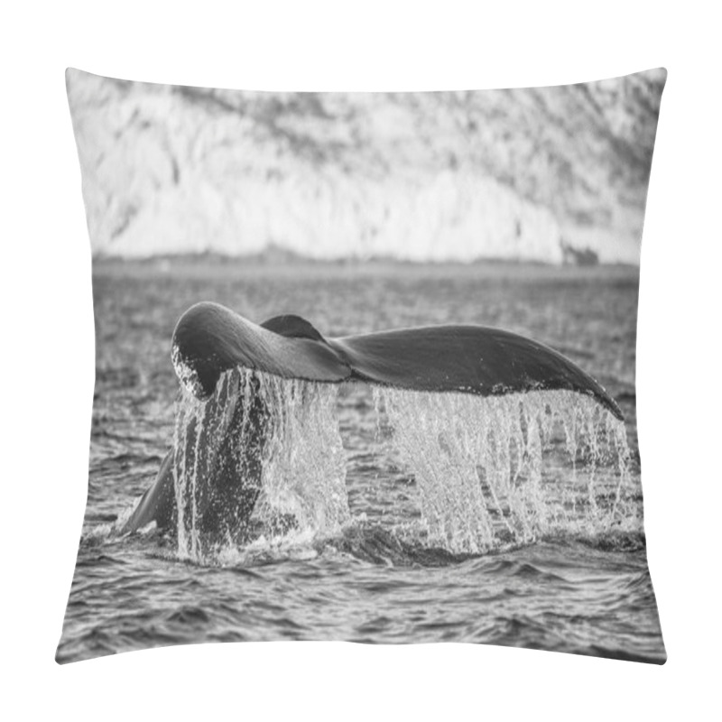 Personality  Tail Of Humpback Whale Pillow Covers