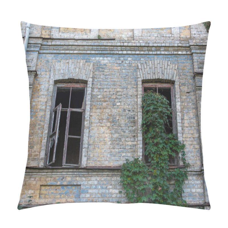 Personality  Facade Of Abandoned Building With Wild Grape On Wall And Window Pillow Covers