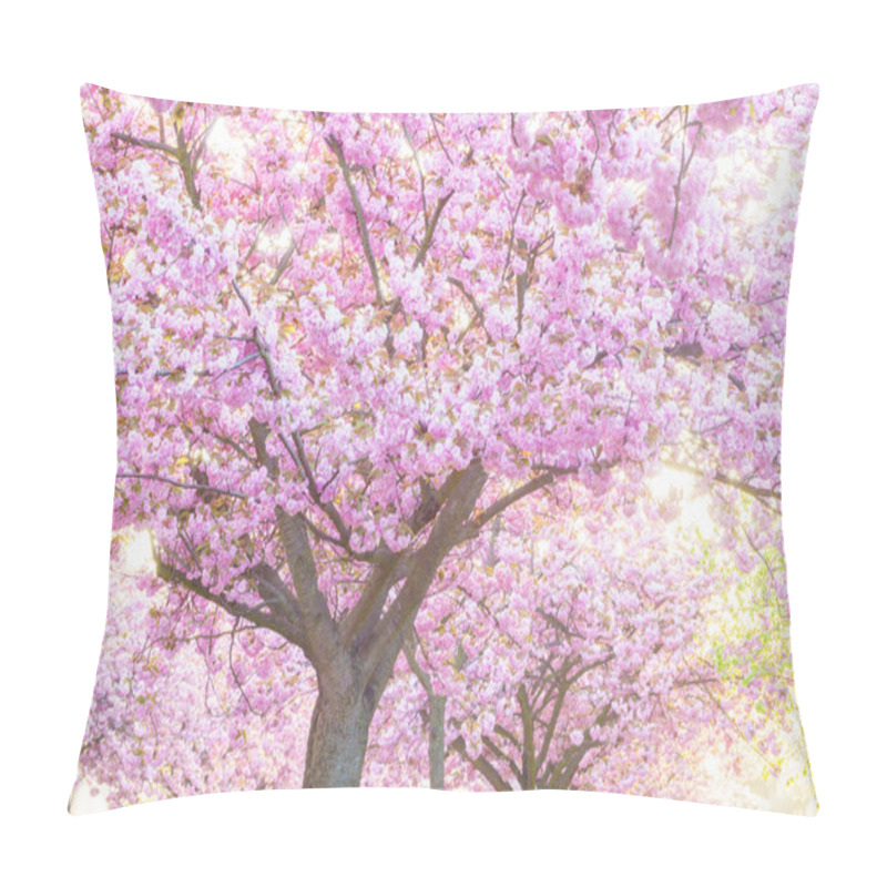 Personality  Beauty Pink Flowering Ornamental Trees Pillow Covers