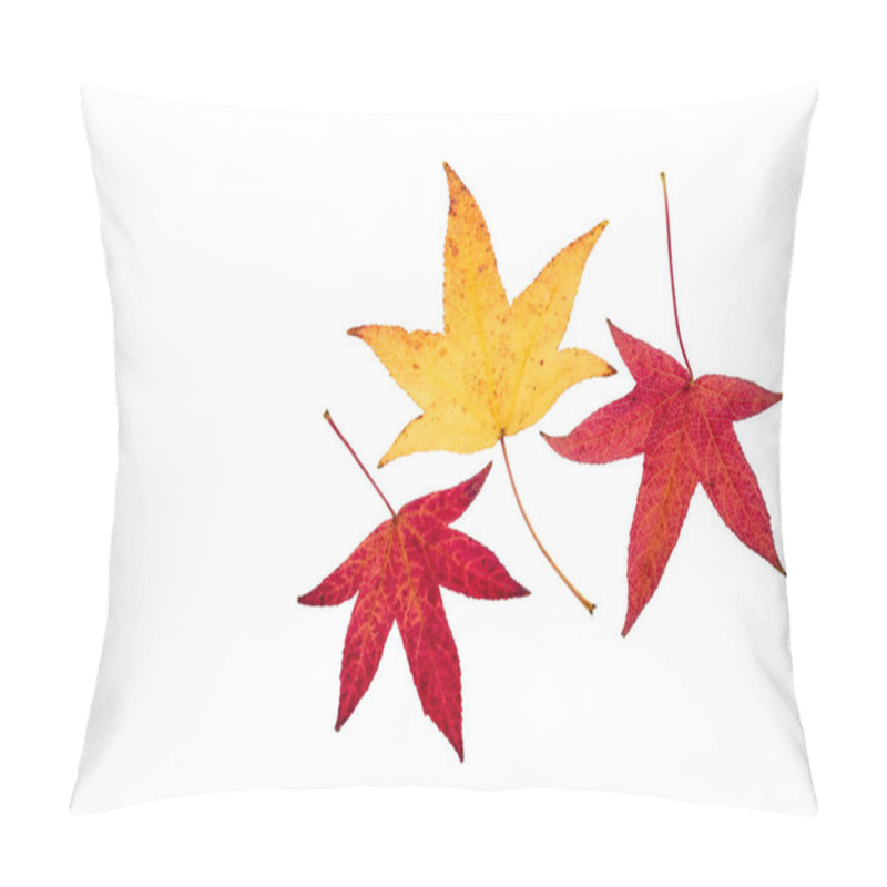 Personality  Set Of Three Japanese Maple Tree Leaves In Autumn Colours Pillow Covers