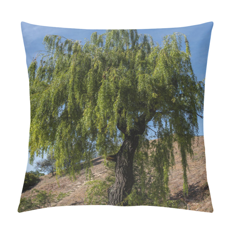 Personality  Green Willow Tree On Hill And Blue Sky At Background Pillow Covers