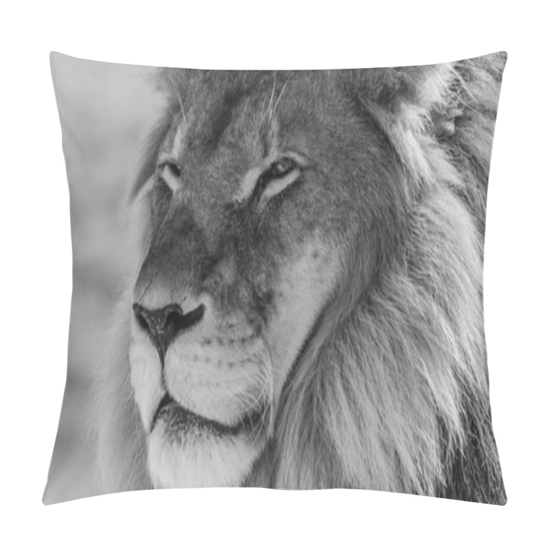 Personality  Lion King Of The Wild Pillow Covers