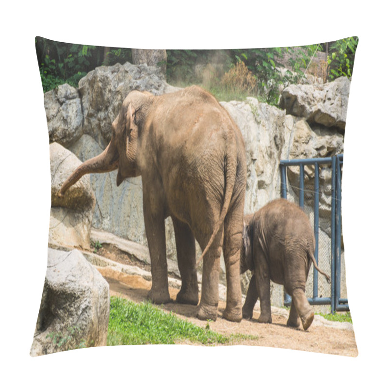 Personality  Mother And Baby Elephant In Chiangmai Zoo , Thailand Pillow Covers