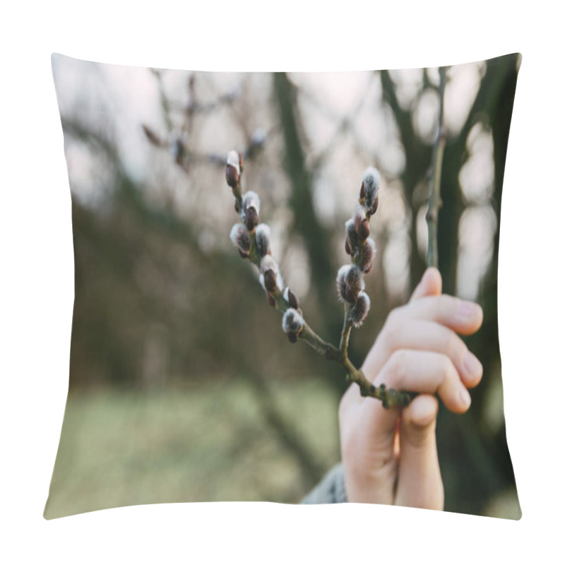 Personality  Flowering Pussy Willow Branches In A Hand Pillow Covers