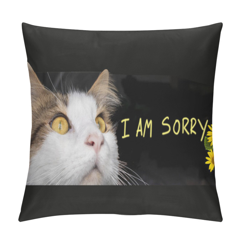 Personality  I Am Sorry Message Words With Cat Looking On Background Black Pillow Covers