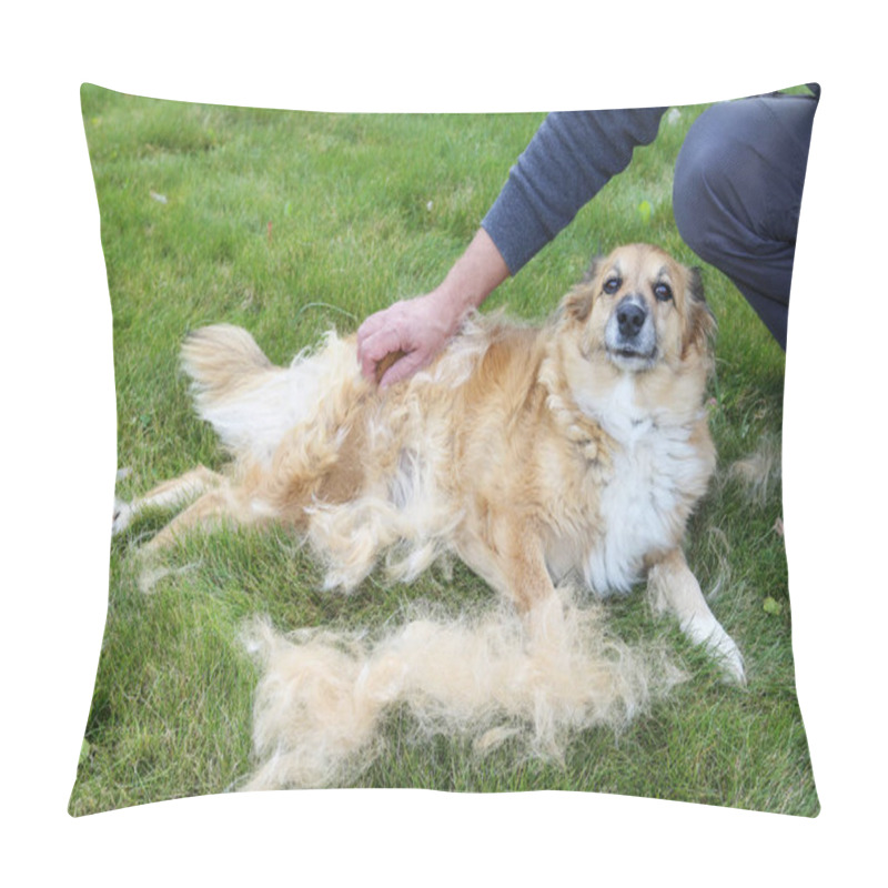 Personality  The Dog Sheds His Hair (moulting) And The Guardian Combs It.  Pillow Covers