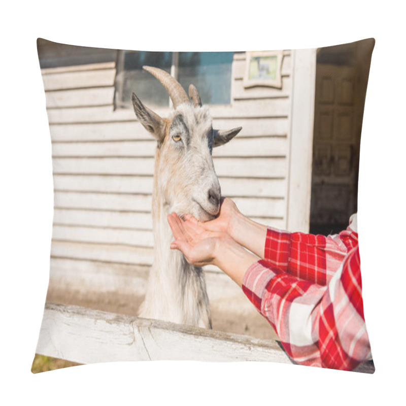 Personality  Cropped Image Of Woman Feeding Goat By Grass Near Wooden Fence At Farm Pillow Covers