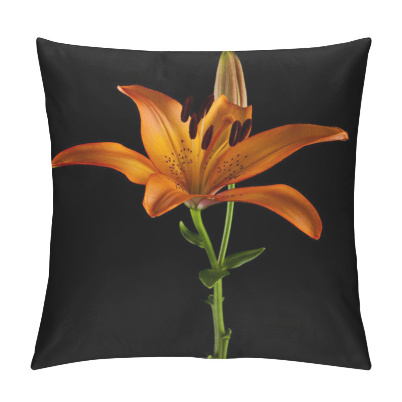 Personality  Lilies Isolated On Black Background Pillow Covers