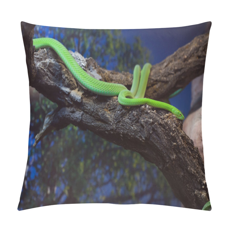 Personality  Western Green Mamba (Dendroaspis Viridis). Pillow Covers