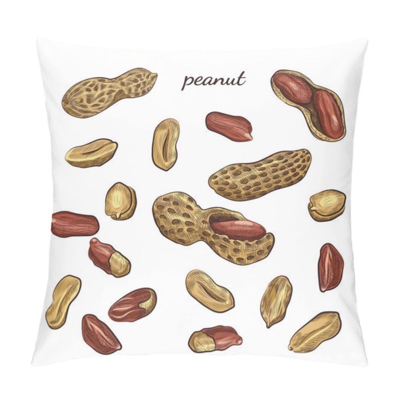 Personality  Peanut Hand Drawn Illustration. Nuts And Shells Sketches Isolated On White Background. Pillow Covers