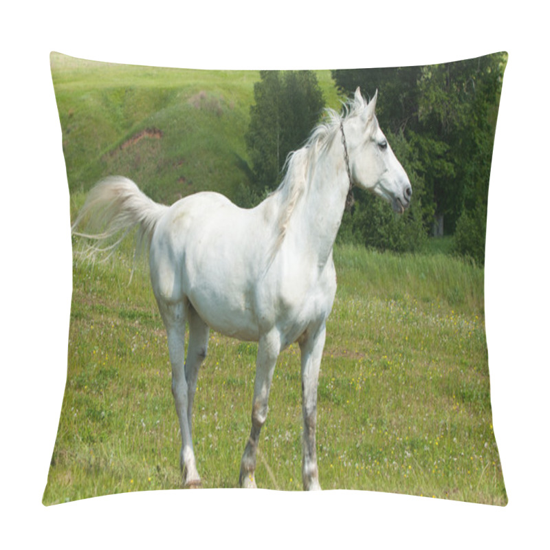 Personality  Horse Grazes On A Green Lawn Pillow Covers