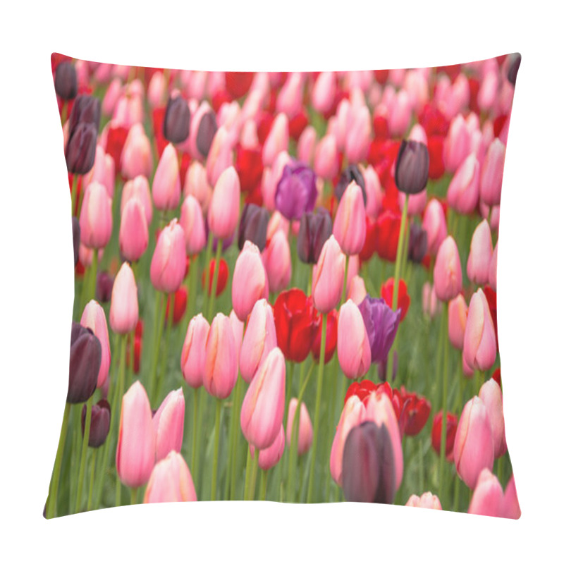 Personality  Pink Tulips Pillow Covers