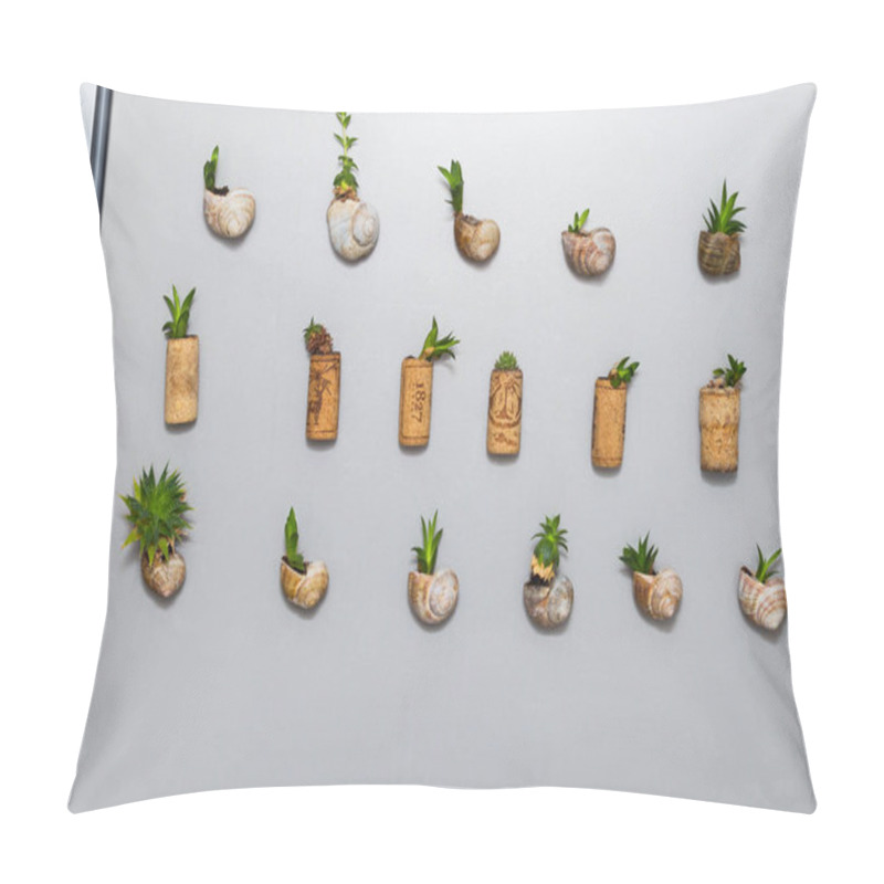 Personality  Mini Garden With Succulents Plant Growing In Snail Shells Or Cork Planter, As Fridge Magnets Pillow Covers