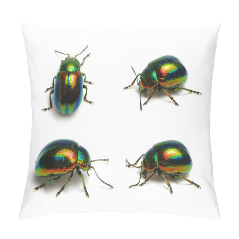 Personality  Green Beetle Isolated On White Background Pillow Covers