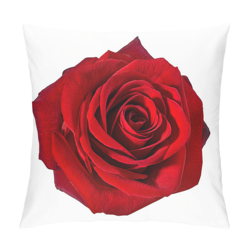 Personality  Rose Isolated On White Background Pillow Covers