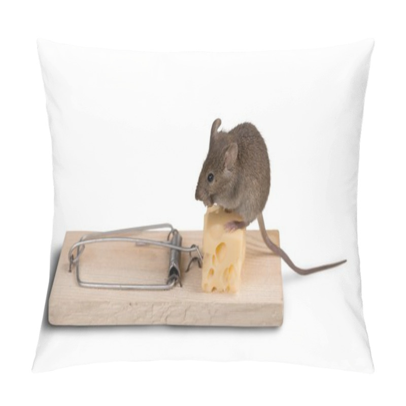 Personality  Trap With Cheese And Mouse Pillow Covers