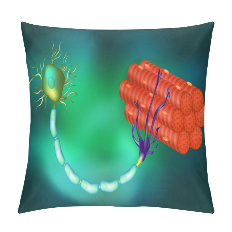 Personality  Motor Neuron Function. Vector  Pillow Covers