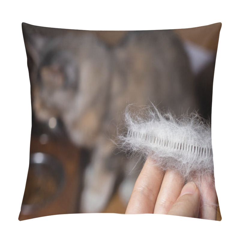 Personality  Maine Coon Combed Cat Hair In Hand Pillow Covers