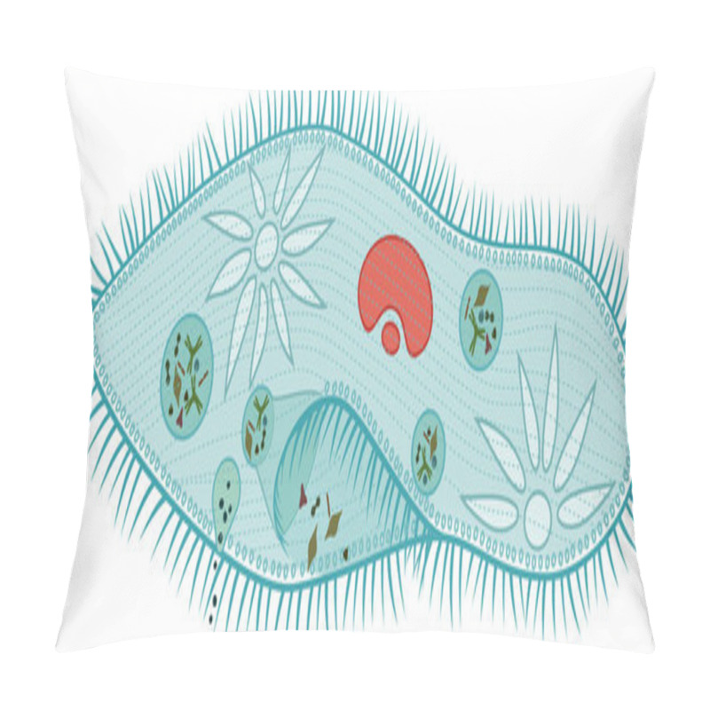 Personality  Structure Of Paramecium Caudatum Isolated On White Background Pillow Covers