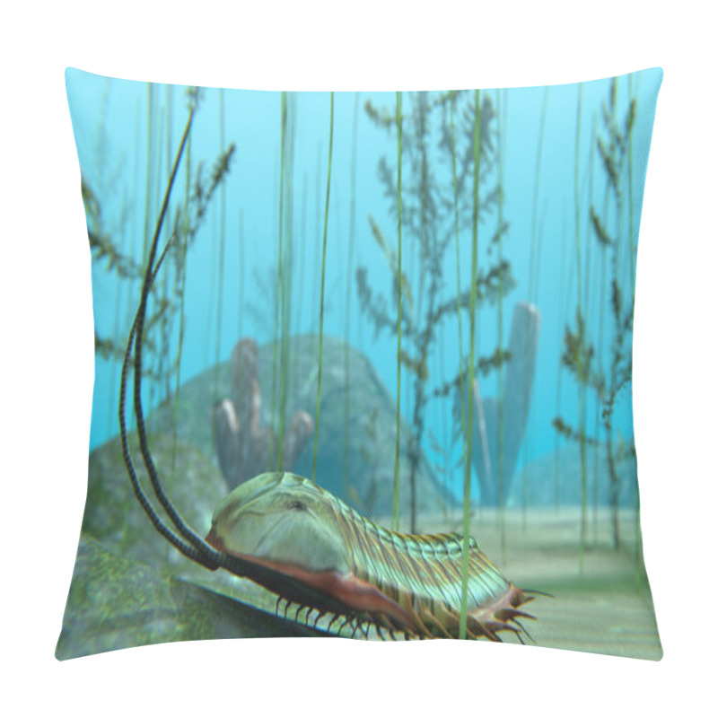 Personality  Trilobite On Sea Bottom Pillow Covers