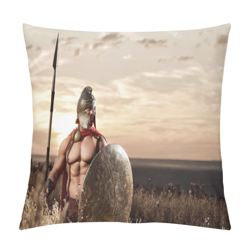 Personality  Strong Spartan Warrior In Battle Dress With A Shield And A Spear Pillow Covers