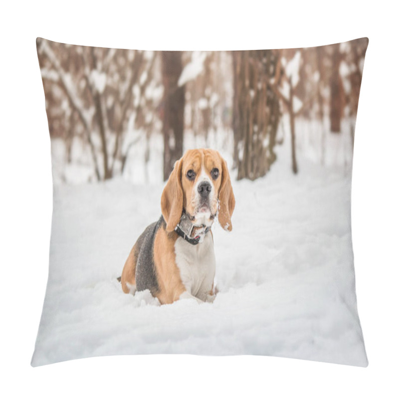 Personality  Beagle Dog In Snowy Landscape - A Captivating Stock Photo Capturing The Charm And Joy Of This Beautiful Breed In Winter Pillow Covers