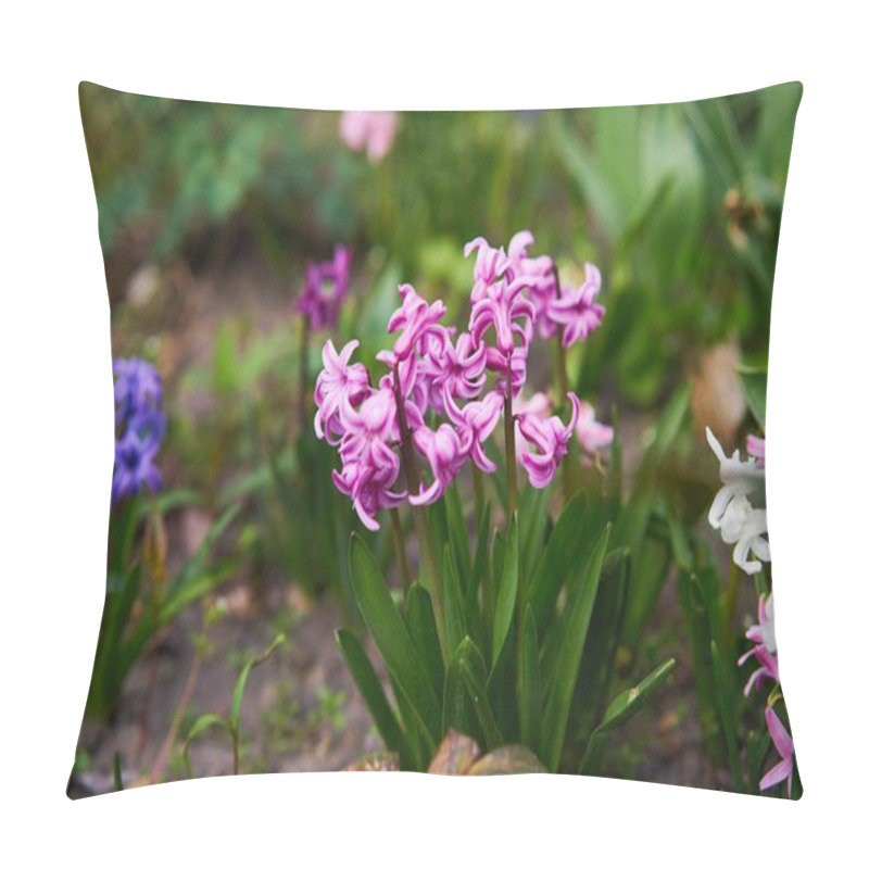 Personality  Beautiful Hyacinth Flowers      In Garden  Pillow Covers