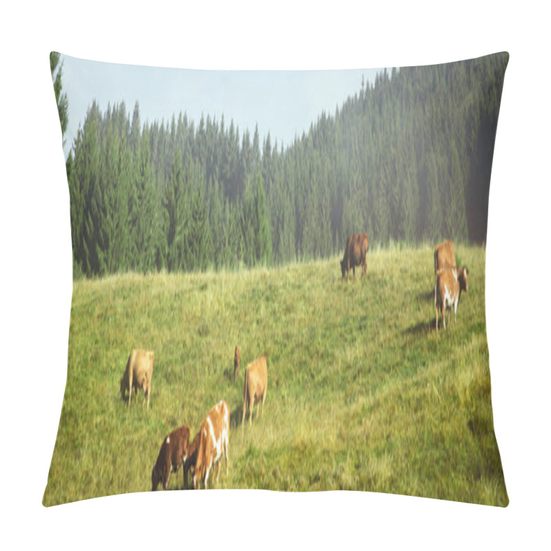 Personality  Cow Herd Grazing On A Green Pasture, Firs In The Background, Black Forest, Panorama Pillow Covers