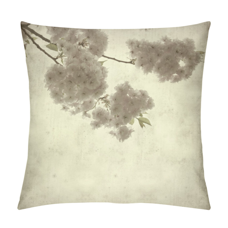 Personality  Textured Old Paper Background With Spring Blossoms Pillow Covers