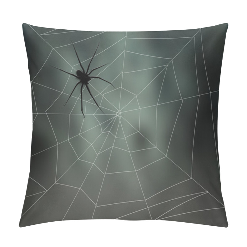 Personality  Spider Web Pillow Covers