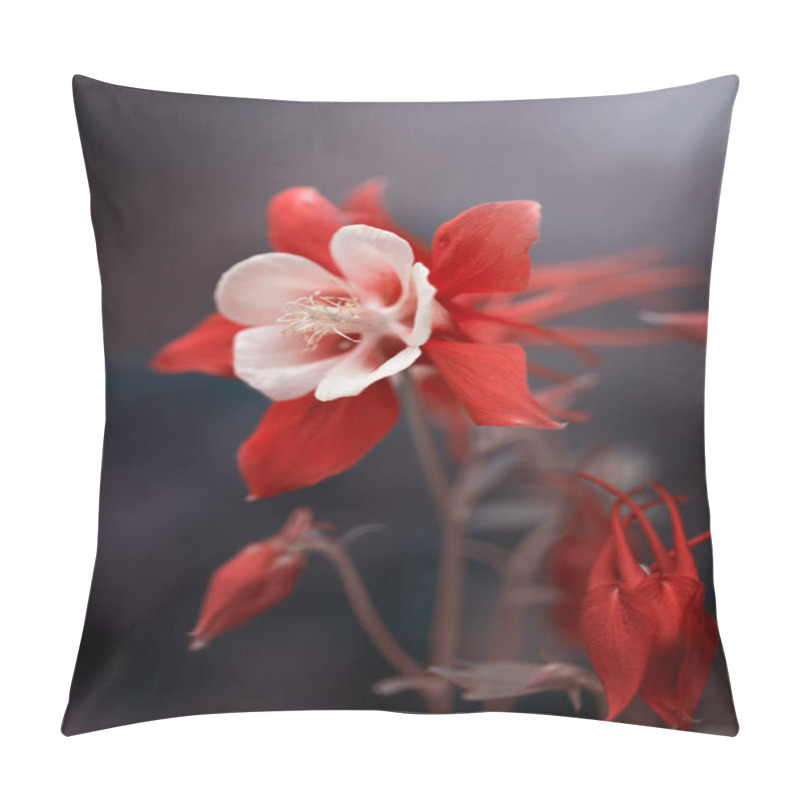 Personality  Columbine, Red Flowers On A Sunny Day, Spring Season, Flower, Blurred Background, Front Shot Pillow Covers