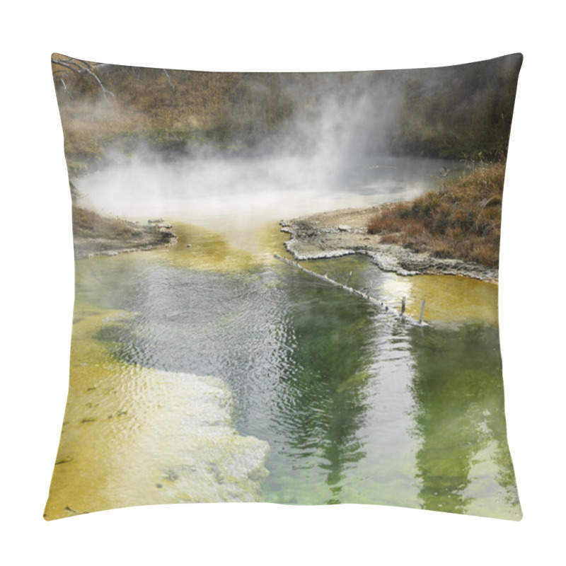 Personality  Yellowstone National Park. Pillow Covers