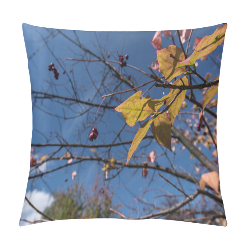 Personality  Yellow Leaves And Berries On Tree Branches With Blue Sky At Background Pillow Covers