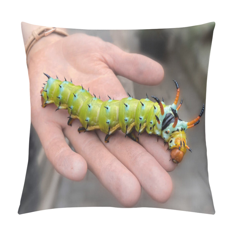 Personality  The Giant Horned Caterpillar Of The Royal Walnut Moth, Regal Moth Or Hickory Horned Devil, Citheronia Regalis On A Woman`s Hand. The Worlds Largest Caterpillar. Pillow Covers