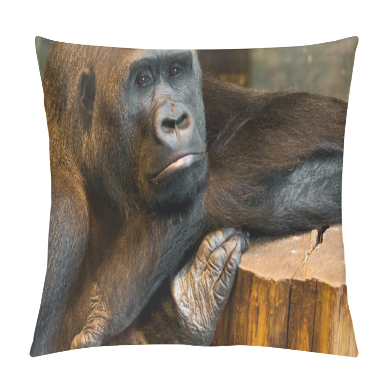 Personality  Captive Pillow Covers