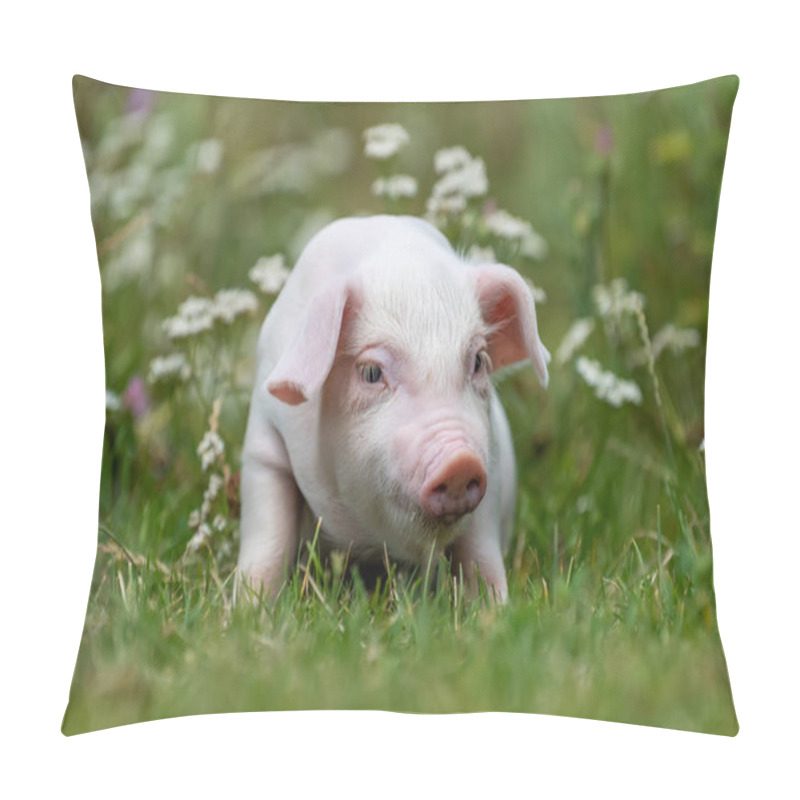 Personality  Young Funny Pig On A Green Grass Pillow Covers