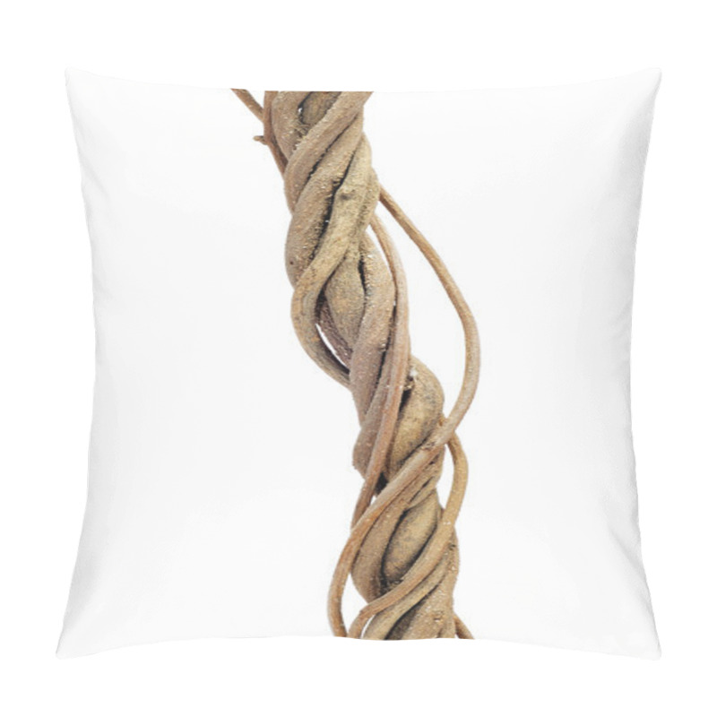 Personality  Twisted Roots Pillow Covers