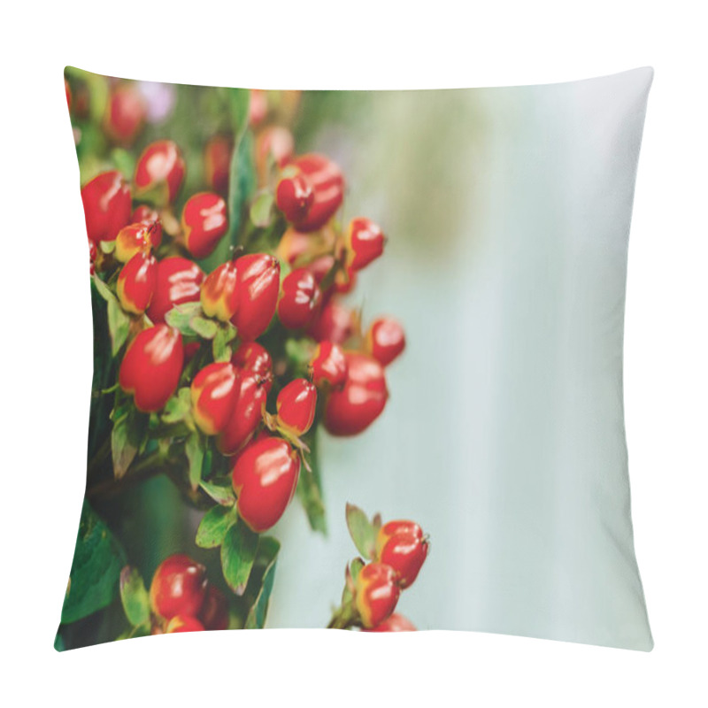 Personality  Hypericum On Simple Dark Background In Studio Pillow Covers