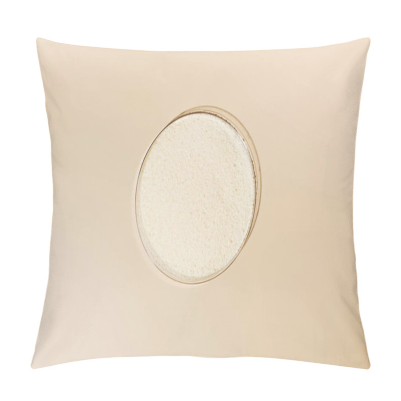 Personality  Hydrolyzed Collagen Powder In A Petri Dish On A Beige Background. Skin Care, Rejuvenation. Pillow Covers