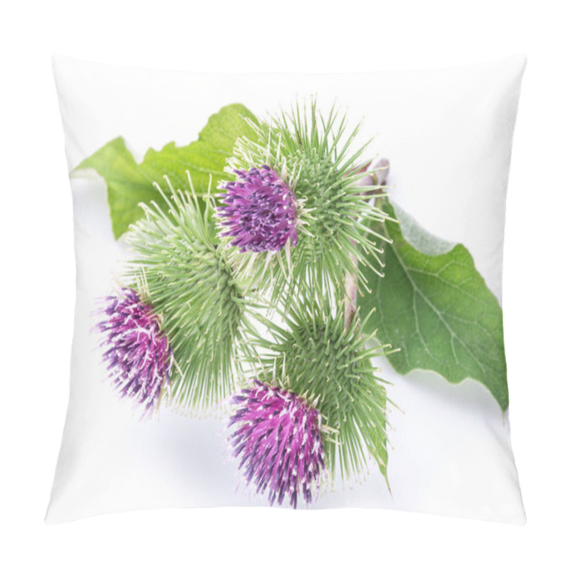 Personality  Prickly Heads Of Burdock Flowers On A White Background. Pillow Covers