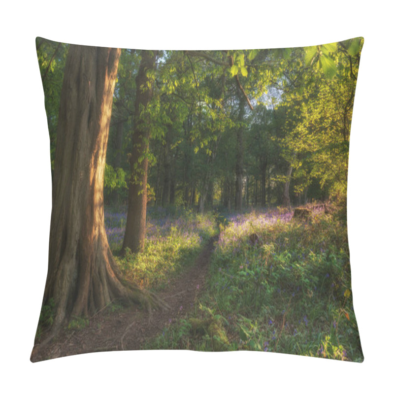 Personality  Beautiful Bluebell Forest Landscape Image In Morning Sunlight In Spring Pillow Covers