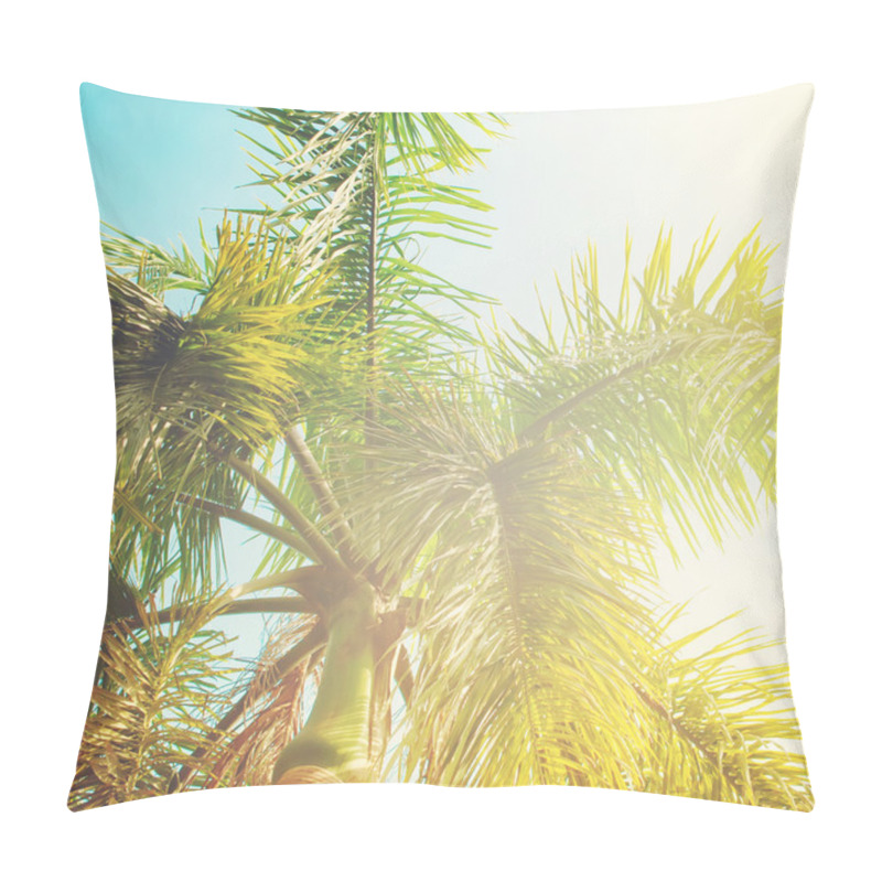 Personality  Leaves Of Palm Trees In Sun Light. Natural Background Pillow Covers